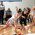 {Title}